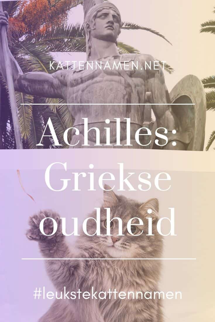 Achilles als kattennaam uit de griekse oudheid