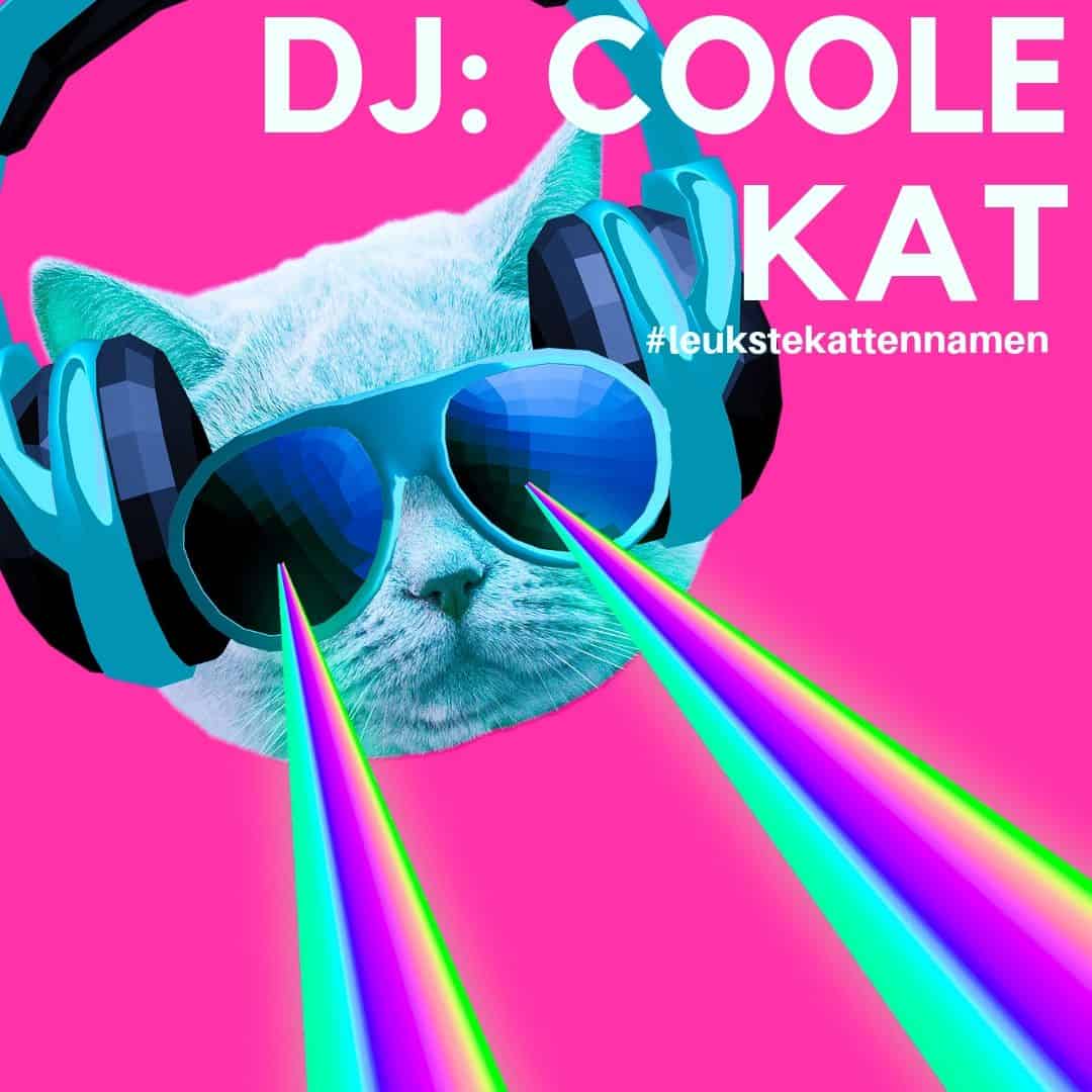 DJ als kattennaam