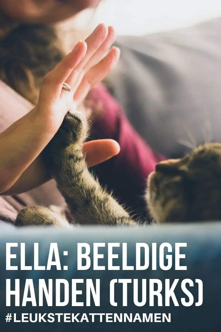 Ella als leuke naam voor je kat betekent beeldige handen in het Turks