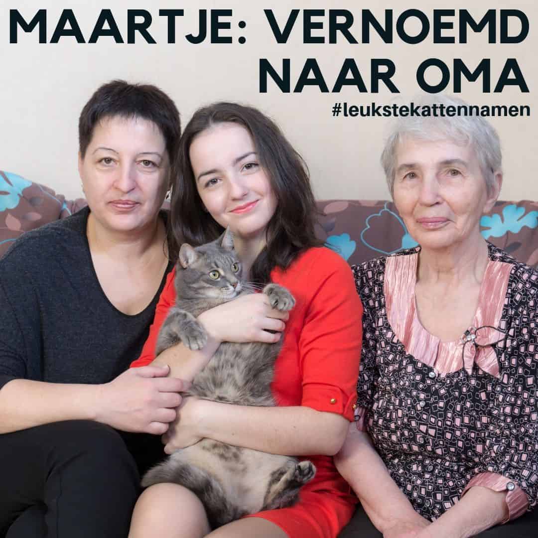 Maartje een kat vernoemd naar oma