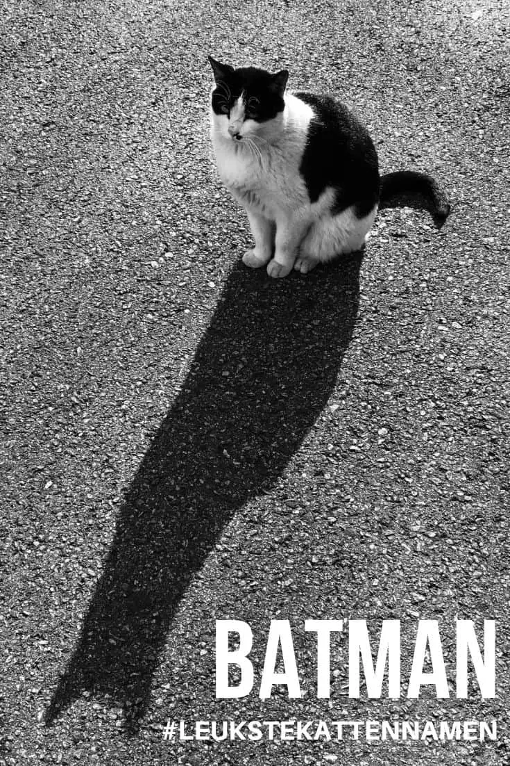 Batman als naam voor je kat