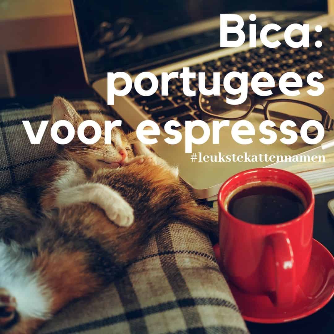 Bico portugees voor espresso