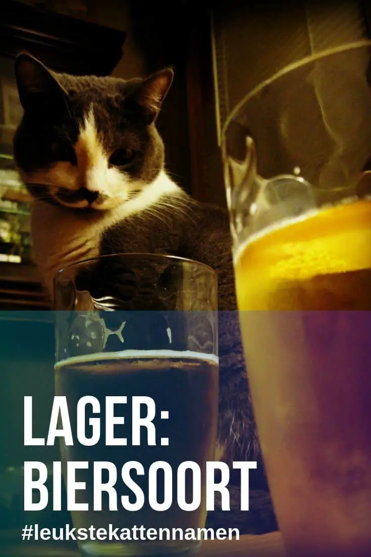 Lager als kattennaam in plaats van een biersoort