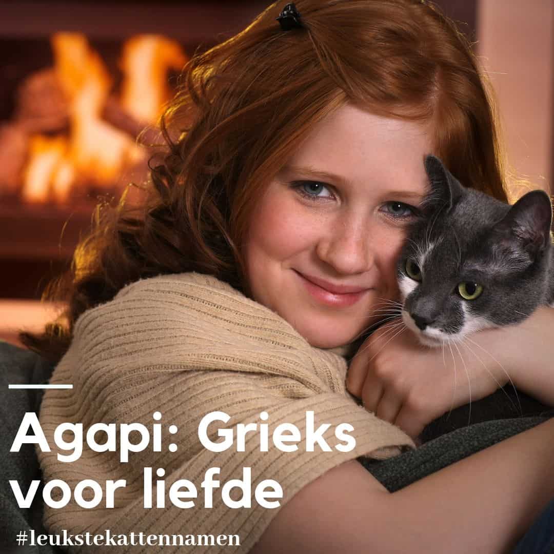 Agapi als kattennaam - Grieks voor liefde