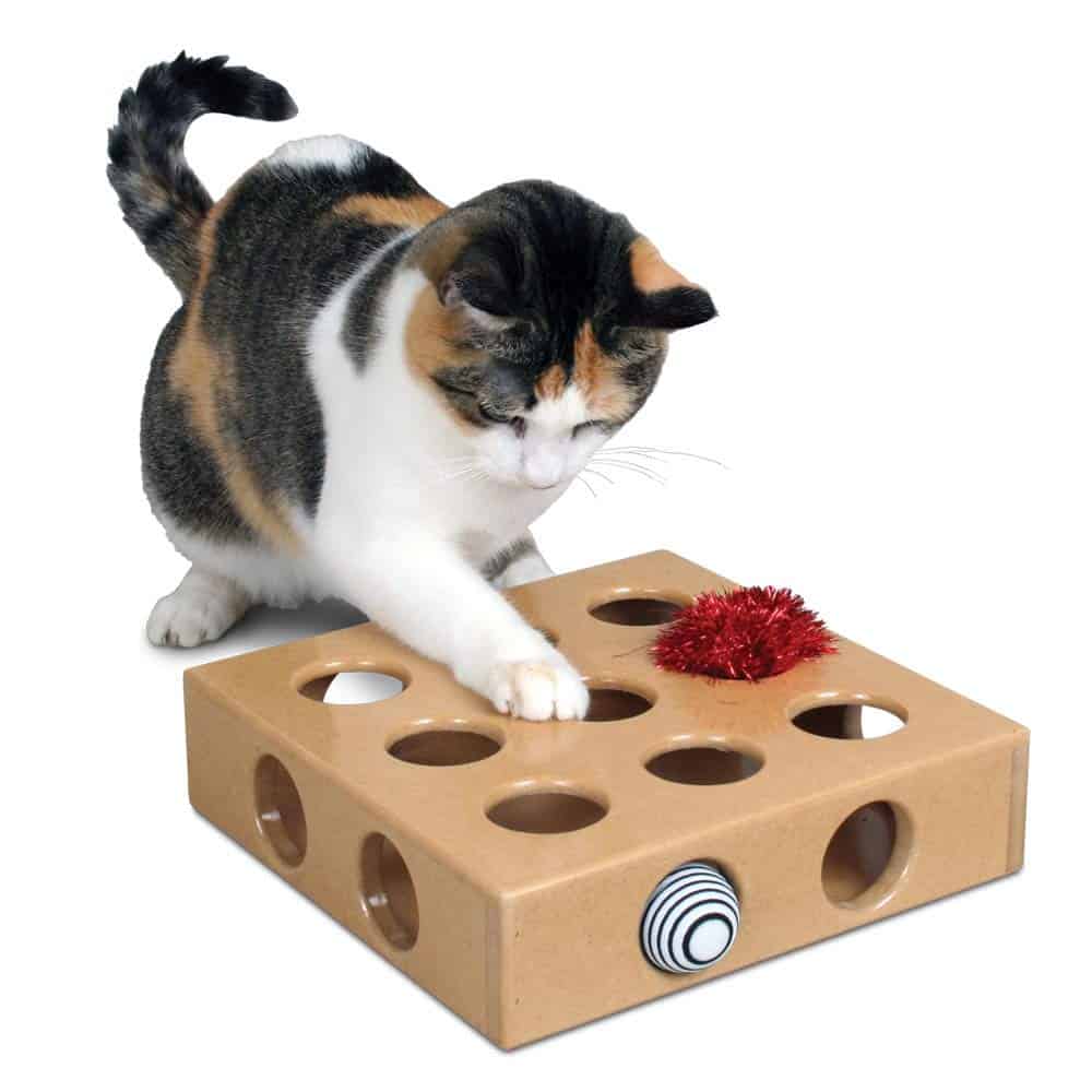 Beste katten speelgoed doos