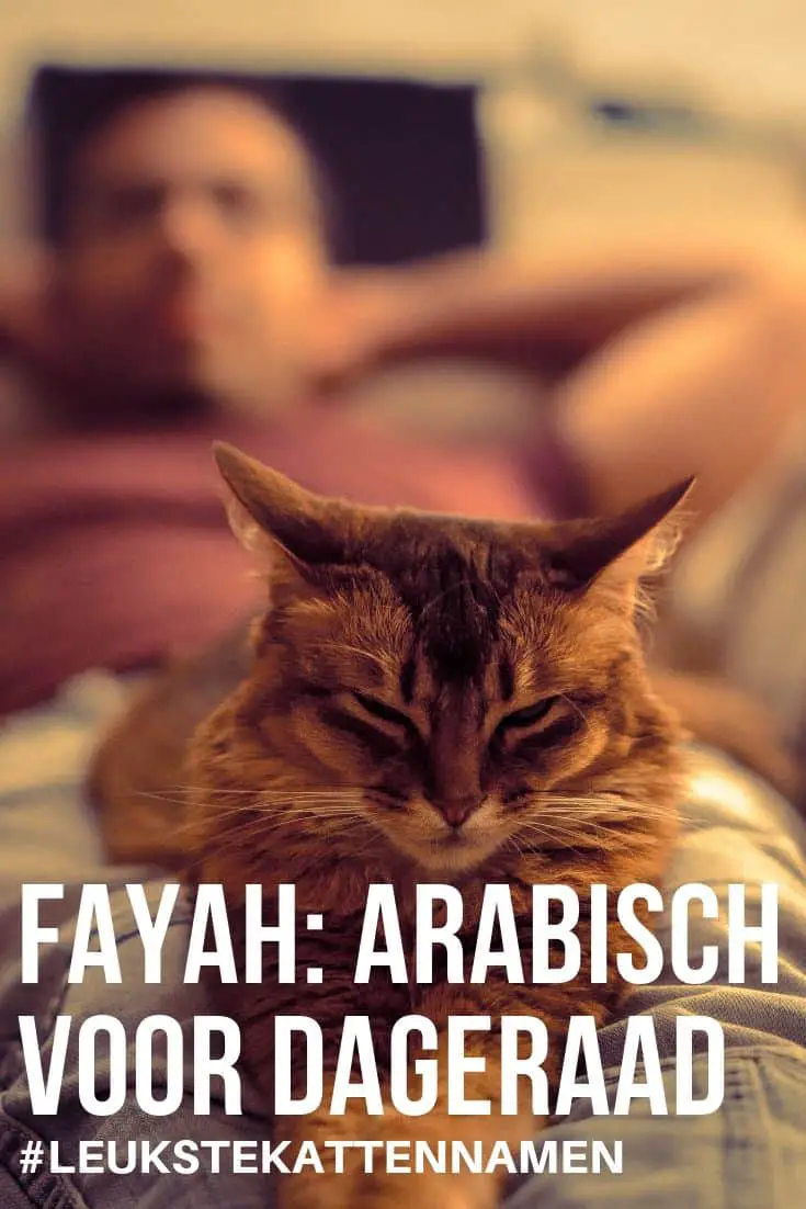 Fayah is arabisch voor dageraad en een leuke naam voor je kat