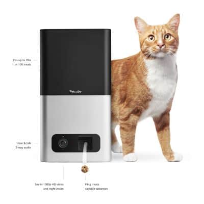 Petcube kat camera voor thuis met wifi