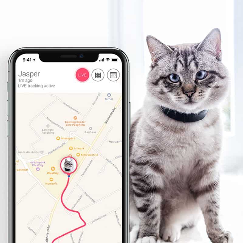 Tractive GPS tracker met halsband voor je kat