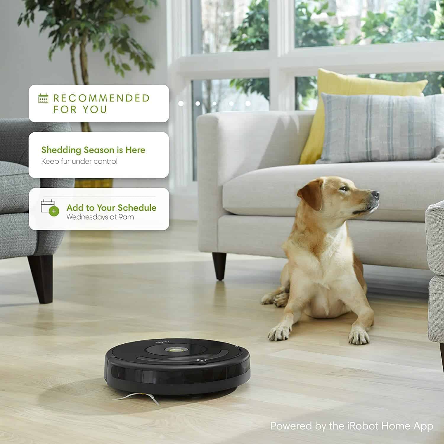 Beste Robot Stofzuiger voor dieren haar: iRobot Roomba 675