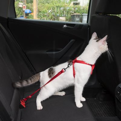 Beste kattentuigje voor in de auto: Trixie Auto-tuigje