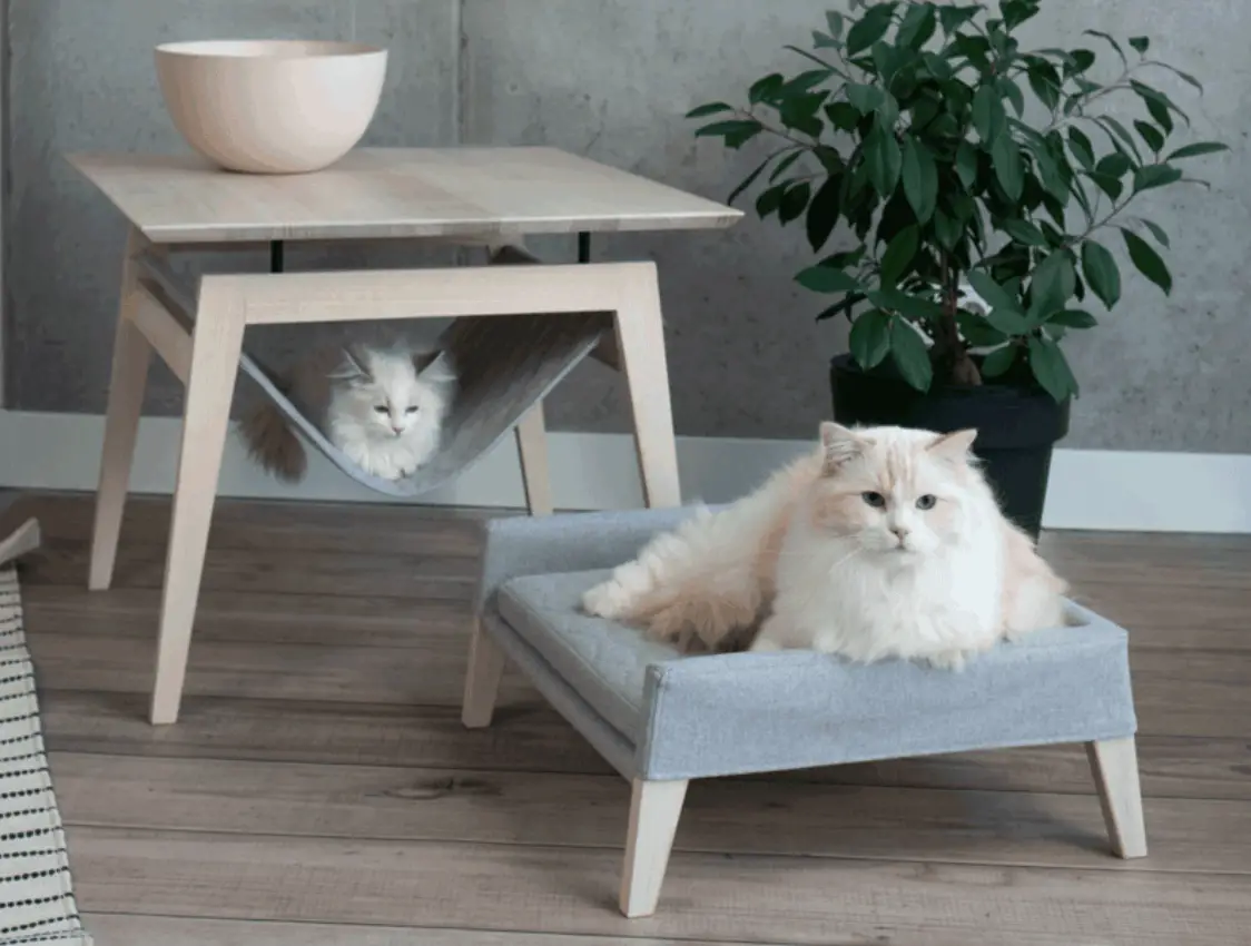 Beste kattenmeubel sofa design: Labbvenn set Kikko & Lulu