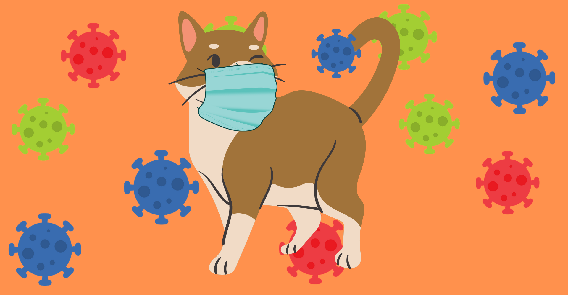 Kunnen katten corona krijgen (en hun baasje besmetten)?